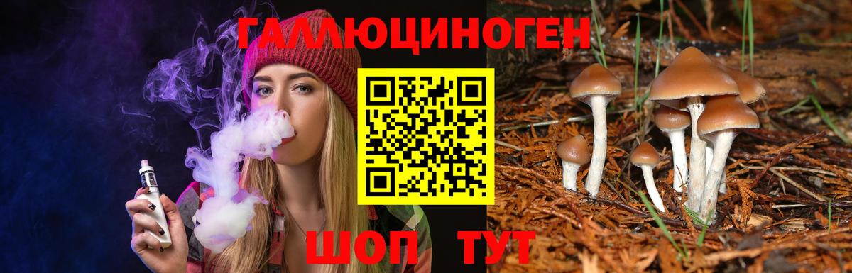 Лыткарино  Псилоцибиновые грибы GOLDEN TEACHER  Вход с VPN 